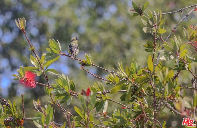 MLS #25578105 image #57