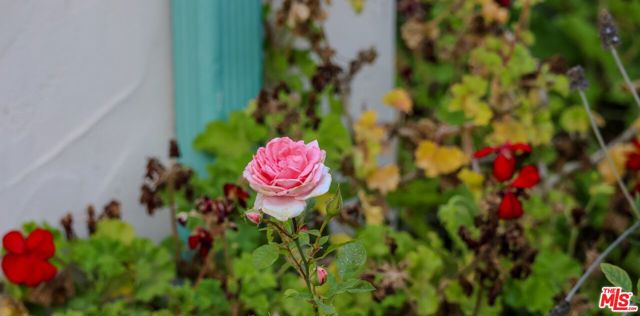 MLS #25578105 image #58