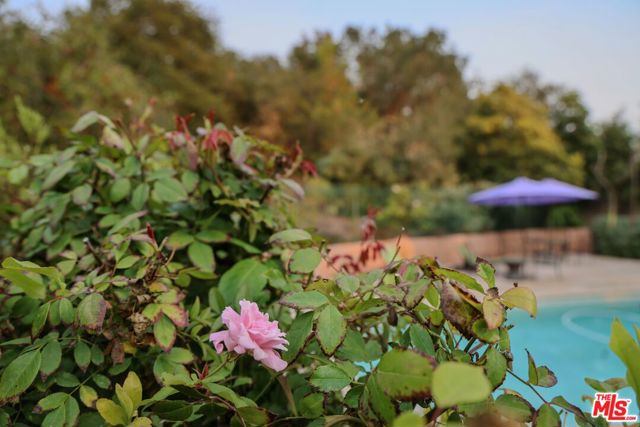 MLS #25578105 image #60