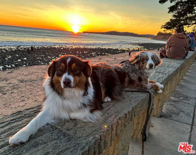 MLS #25578105 image #72