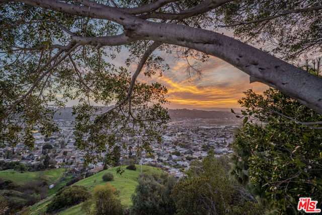 MLS #25586651 image #40