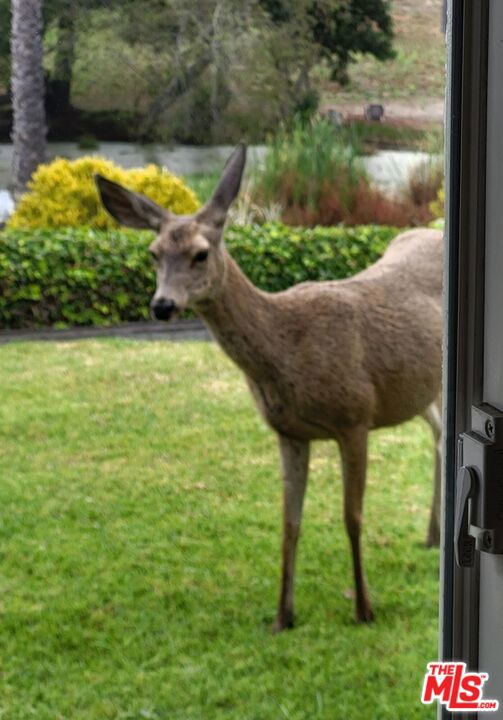 MLS #25589275 image #24