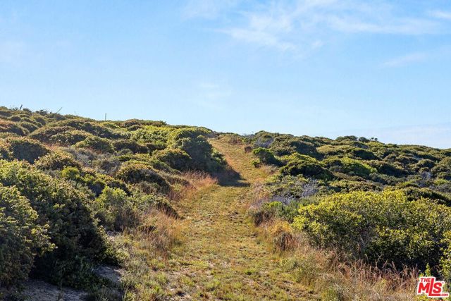 MLS #25589275 image #42