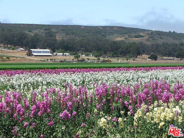 MLS #25589275 image #48