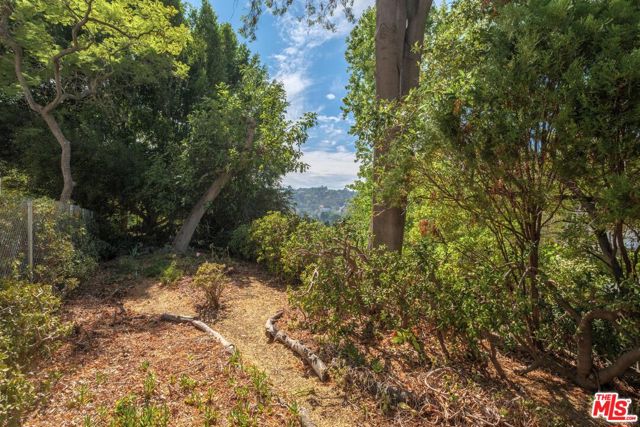 MLS #25593107 image #46