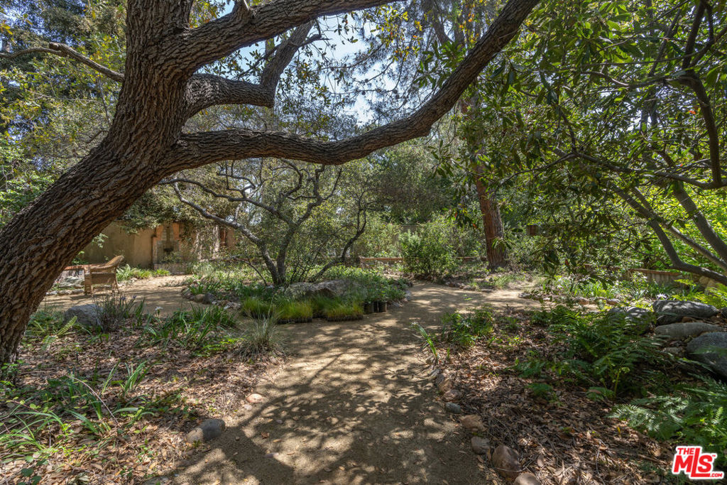 MLS #25596063 image #74