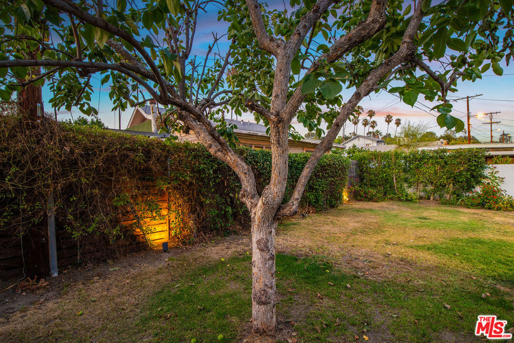 MLS #25597577 image #47