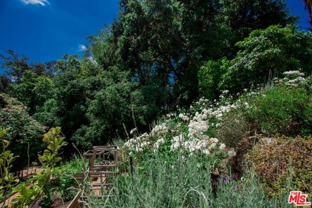 MLS #25598641 image #39