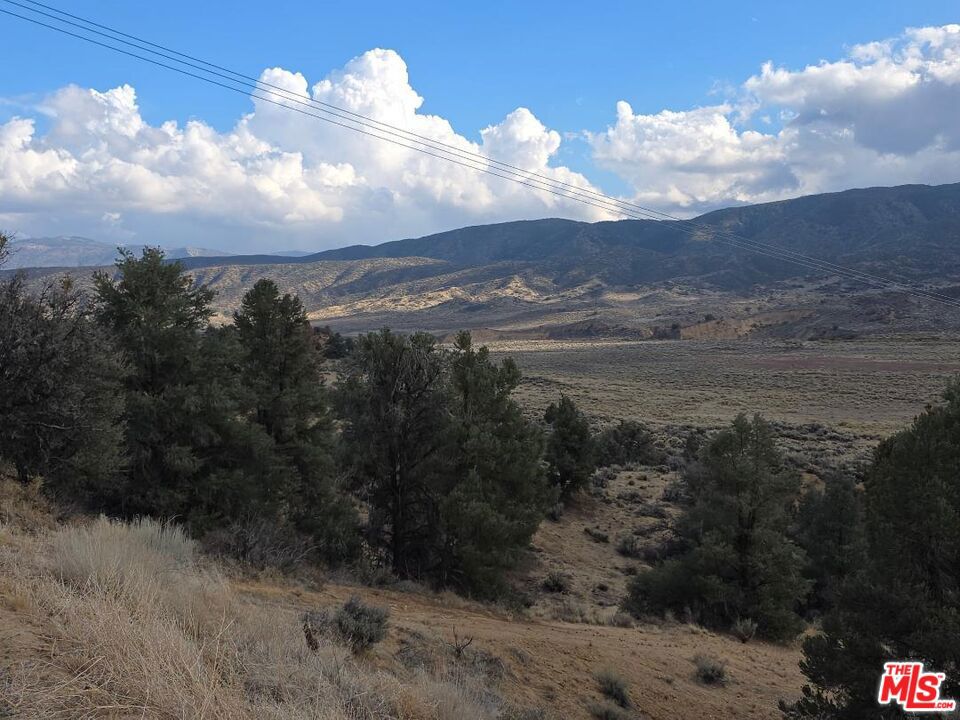 MLS #25601961 image #12