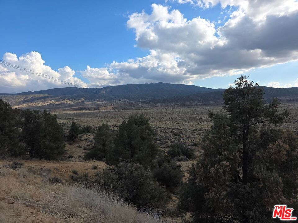 MLS #25601961 image #15