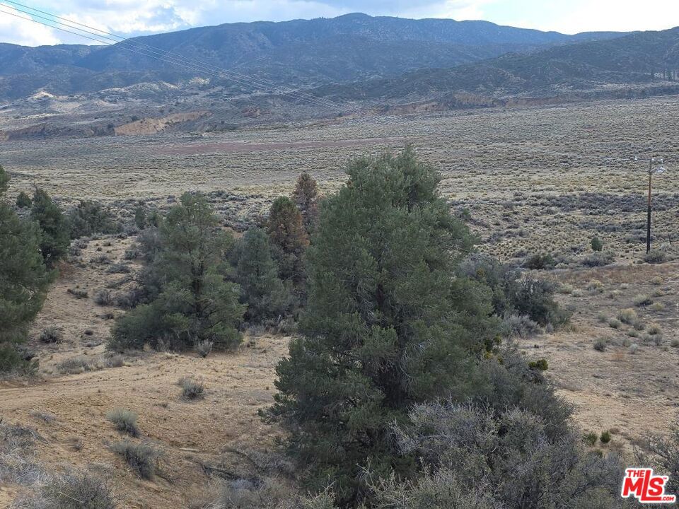 MLS #25601961 image #25