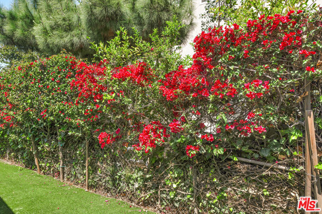 MLS #25602177 image #47