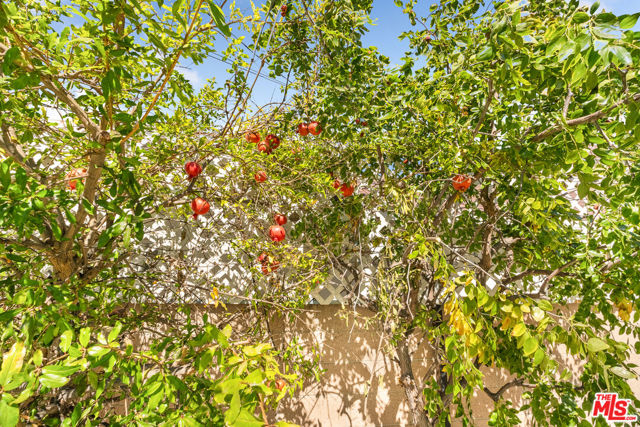 MLS #25602719 image #56