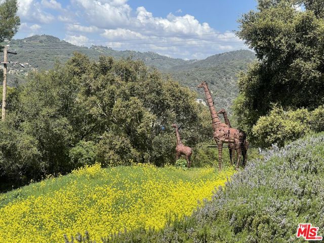 MLS #25603825 image #31