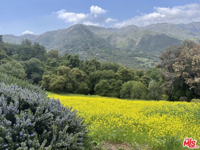 MLS #25603825 image #5