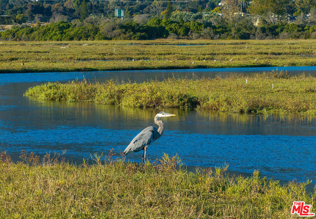 MLS #25608429 image #15