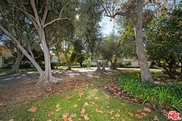 MLS #25609575 image #34