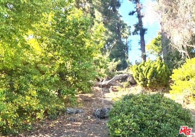 MLS #25612133 image #8