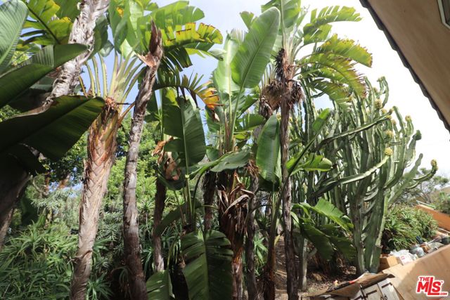 MLS #25614053 image #47