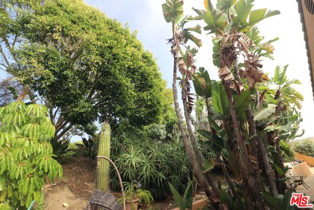 MLS #25614053 image #48