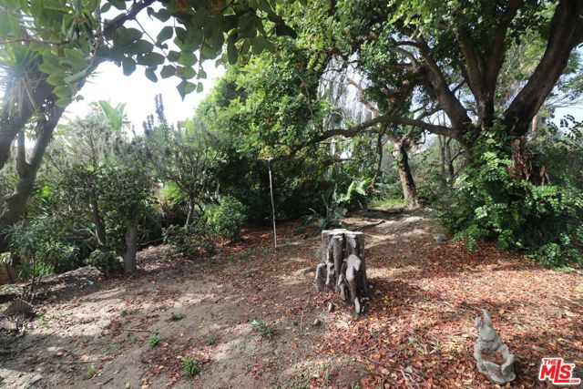 MLS #25614053 image #49