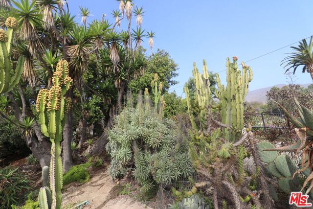 MLS #25614053 image #50