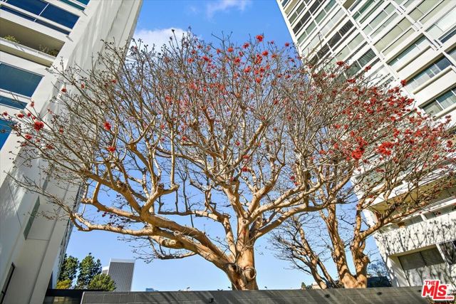 MLS #25614357 image #24