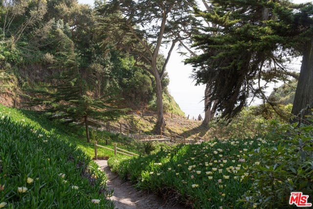 MLS #25615941 image #31