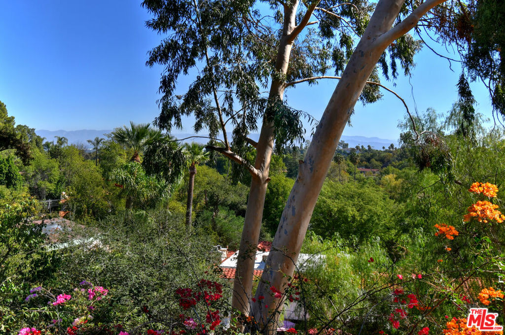 MLS #25616275 image #29