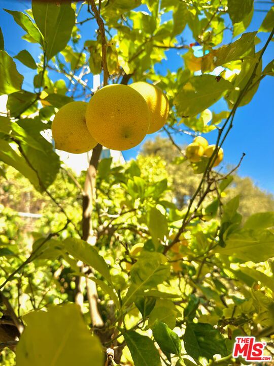 MLS #25618287 image #33