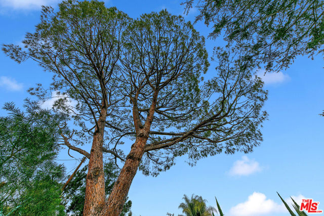 MLS #25619115 image #23