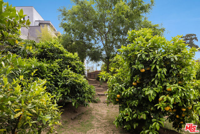 MLS #25619959 image #33