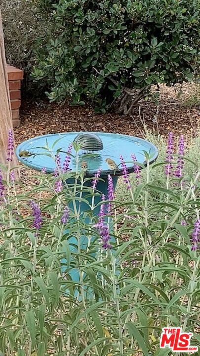 MLS #25620451 image #53