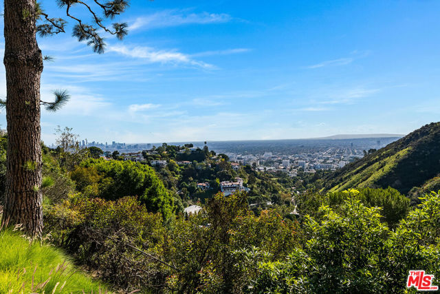 MLS #25621919 image #6