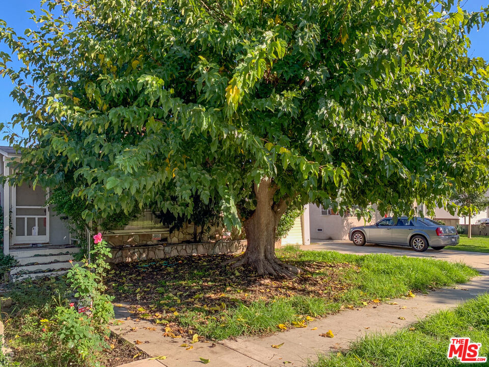 MLS #25626499 image #48