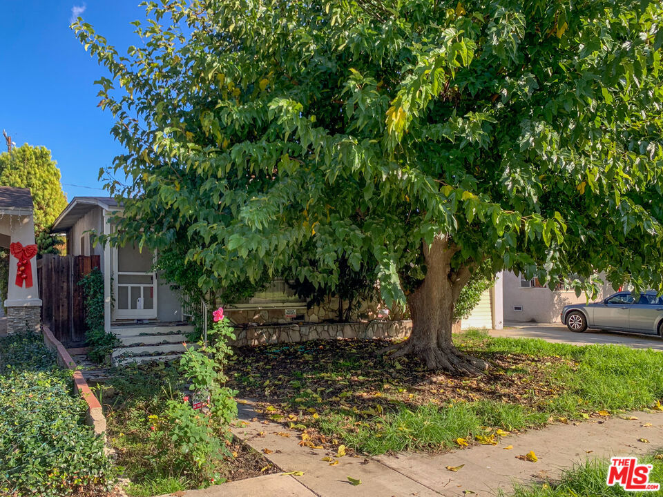 MLS #25626499 image #49