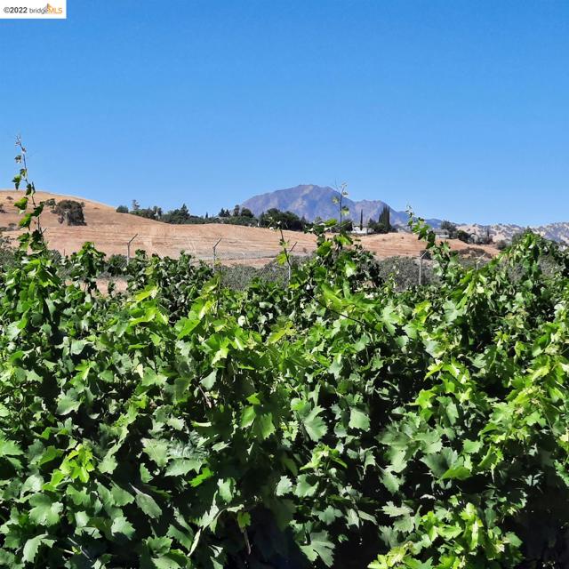 MLS #40999451 image #2