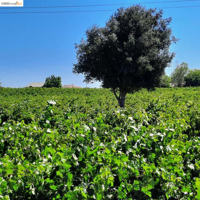 MLS #40999451 image #4