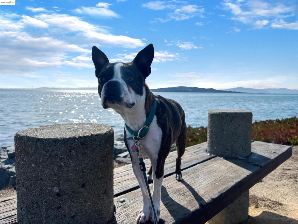 MLS #41104203 image #57