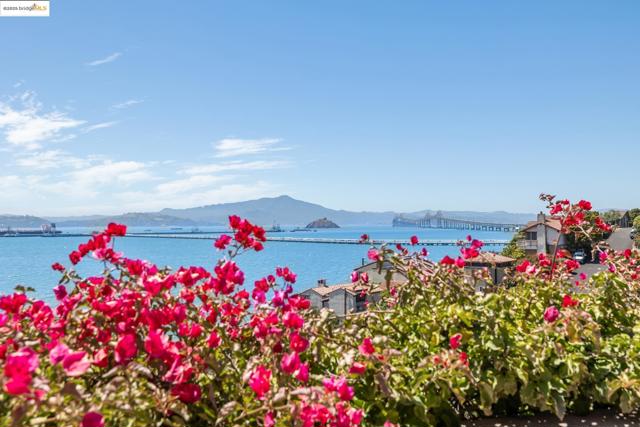 MLS #41106667 image #5