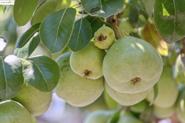 MLS #41108933 image #50