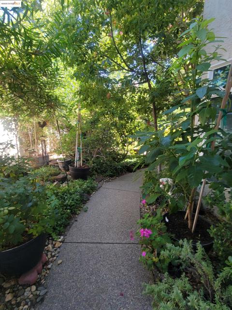 MLS #41109165 image #45