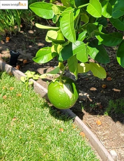 MLS #41109165 image #49