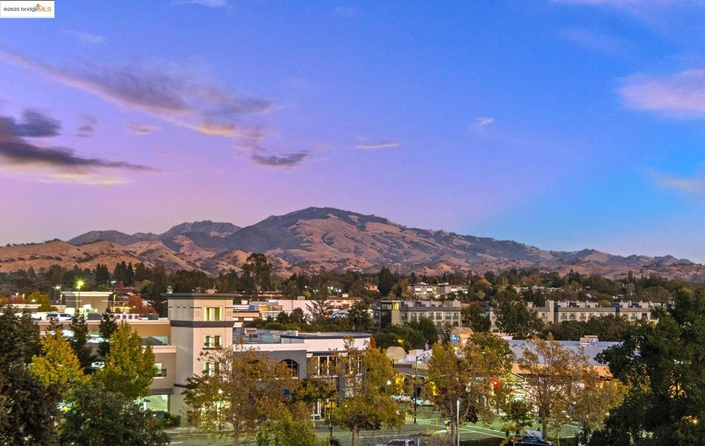 MLS #41112019 image #37