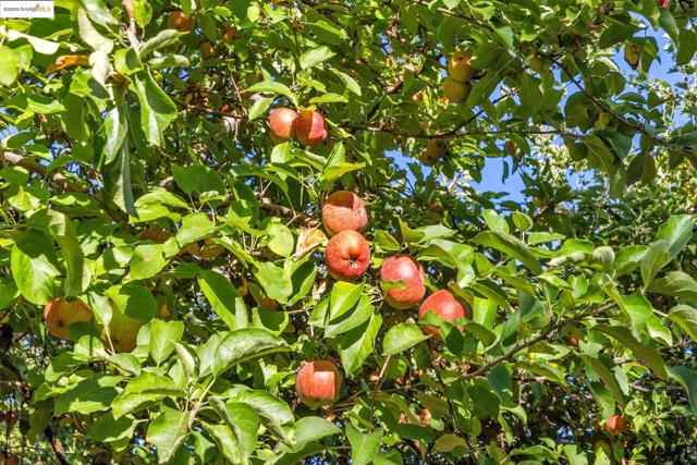 MLS #41112908 image #52