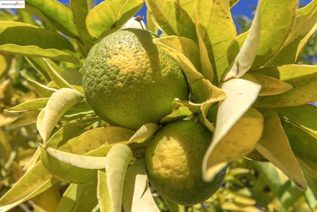 MLS #41113876 image #31