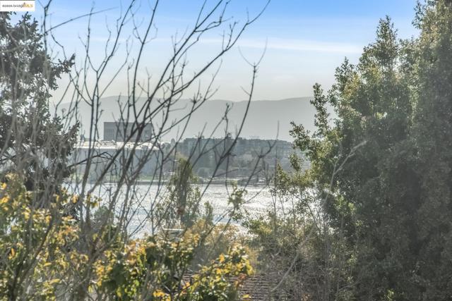 MLS #41113982 image #24