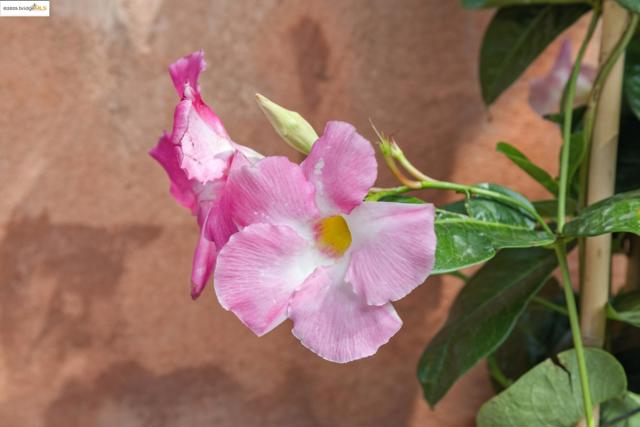 MLS #41114384 image #26