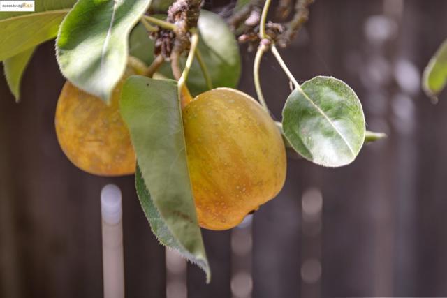 MLS #41114384 image #31