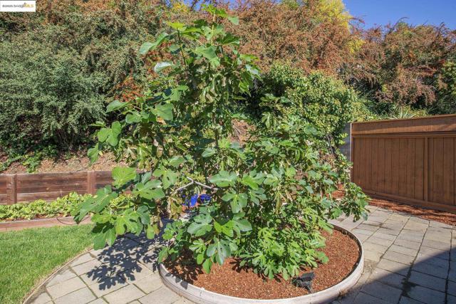 MLS #41114797 image #52